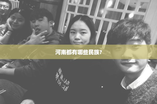 河南都有哪些民族?