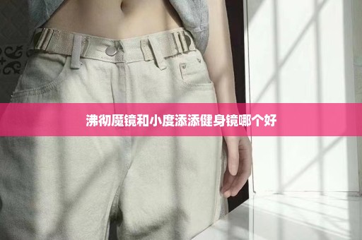 沸彻魔镜和小度添添健身镜哪个好