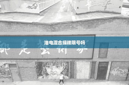 油电混合绿牌限号吗