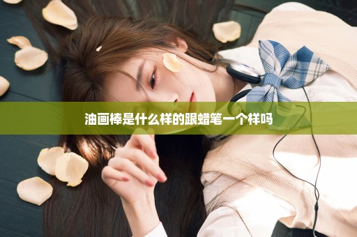 油画棒是什么样的跟蜡笔一个样吗