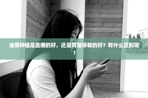 油菜种植是直播的好，还是育苗移栽的好？有什么区别呢？