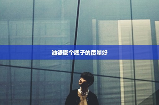 油锯哪个牌子的质量好