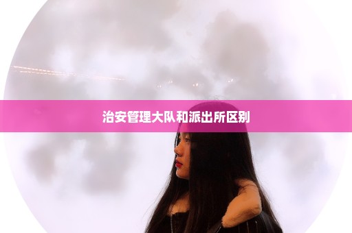 治安管理大队和派出所区别