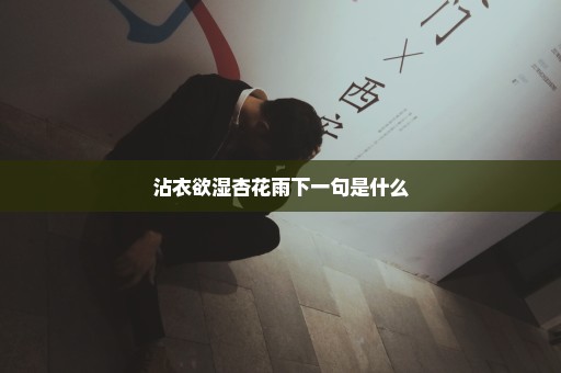 沾衣欲湿杏花雨下一句是什么