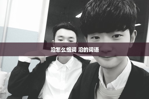 沿怎么组词 沿的词语