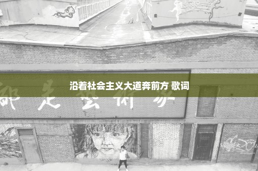 沿着社会主义大道奔前方 歌词