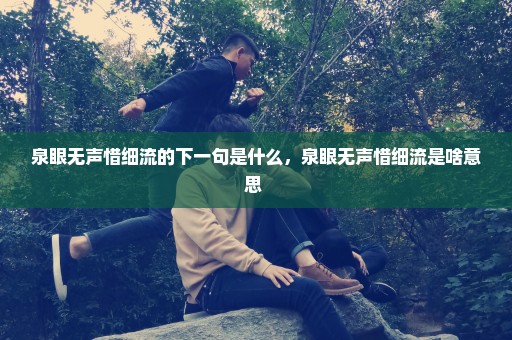 泉眼无声惜细流的下一句是什么，泉眼无声惜细流是啥意思 