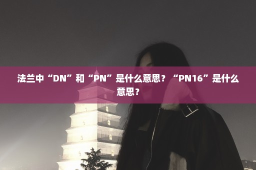 法兰中“DN”和“PN”是什么意思？“PN16”是什么意思？