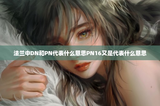 法兰中DN和PN代表什么意思PN16又是代表什么意思