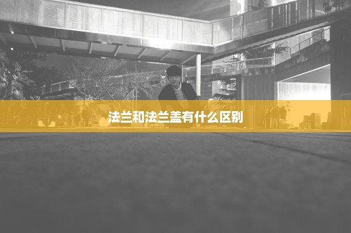 法兰和法兰盖有什么区别