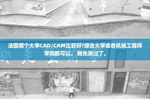 法国哪个大学CAD/CAM比较好?综合大学或者机械工程师学院都可以。 我先谢过了。