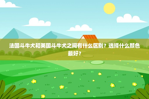 法国斗牛犬和英国斗牛犬之间有什么区别？选择什么颜色最好？