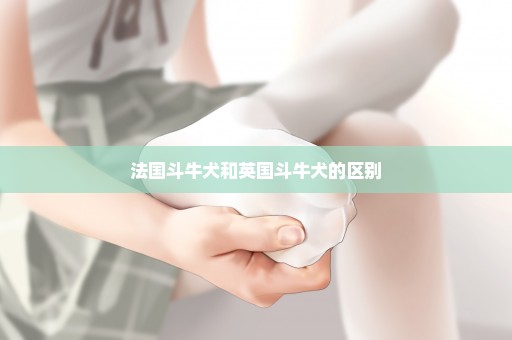 法国斗牛犬和英国斗牛犬的区别
