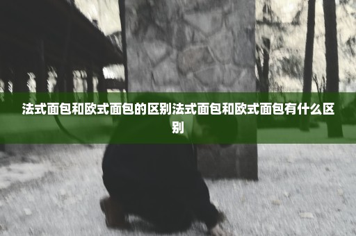 法式面包和欧式面包的区别法式面包和欧式面包有什么区别