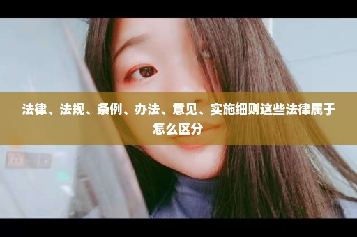 法律、法规、条例、办法、意见、实施细则这些法律属于怎么区分