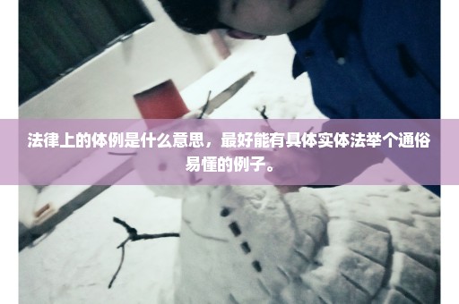 法律上的体例是什么意思，最好能有具体实体法举个通俗易懂的例子。