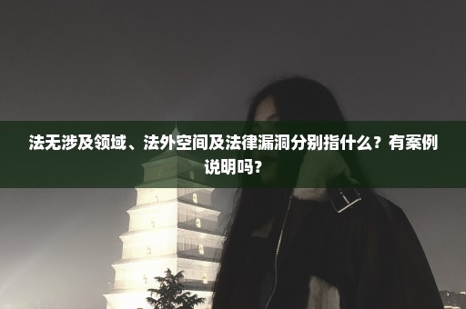 法无涉及领域、法外空间及法律漏洞分别指什么？有案例说明吗？