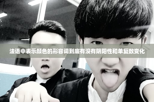 法语中表示颜色的形容词到底有没有阴阳性和单复数变化