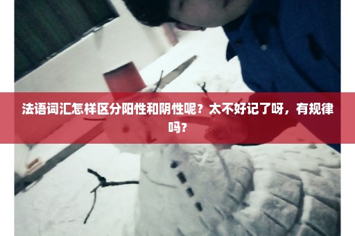 法语词汇怎样区分阳性和阴性呢？太不好记了呀，有规律吗？