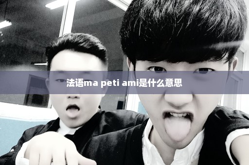 法语ma peti ami是什么意思