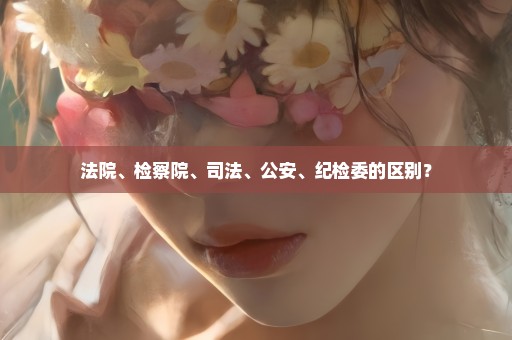 法院、检察院、司法、公安、纪检委的区别？