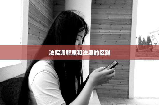 法院调解室和法庭的区别