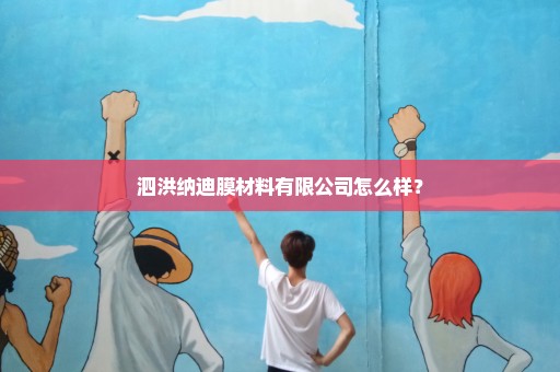 泗洪纳迪膜材料有限公司怎么样？