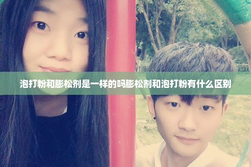 泡打粉和膨松剂是一样的吗膨松剂和泡打粉有什么区别