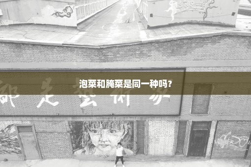 泡菜和腌菜是同一种吗？