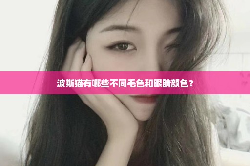 波斯猫有哪些不同毛色和眼睛颜色？