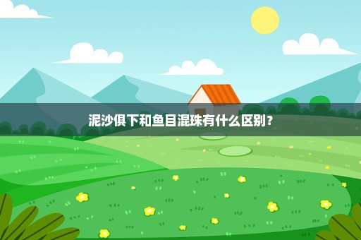 泥沙俱下和鱼目混珠有什么区别？