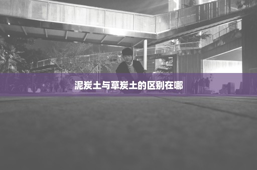泥炭土与草炭土的区别在哪