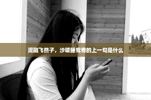 泥融飞燕子，沙暖睡鸳鸯的上一句是什么