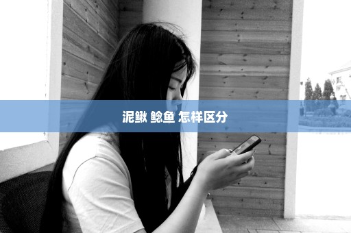 泥鳅 鲶鱼 怎样区分