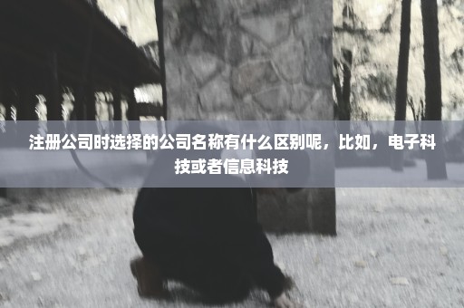 注册公司时选择的公司名称有什么区别呢，比如，电子科技或者信息科技