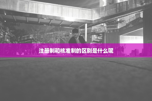 注册制和核准制的区别是什么呢