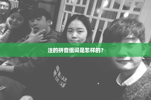注的拼音组词是怎样的？