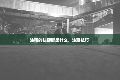 注释的快捷键是什么，注释技巧 