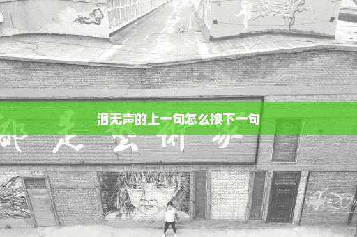 泪无声的上一句怎么接下一句
