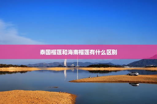 泰国榴莲和海南榴莲有什么区别