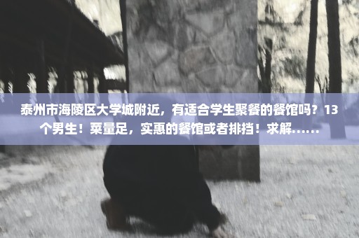 泰州市海陵区大学城附近，有适合学生聚餐的餐馆吗？13个男生！菜量足，实惠的餐馆或者排挡！求解……