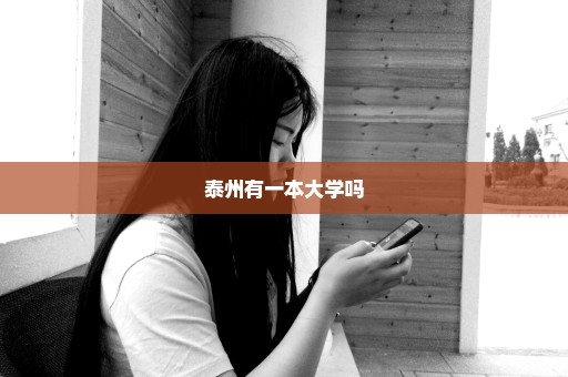 泰州有一本大学吗