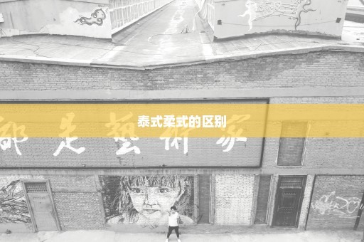 泰式柔式的区别