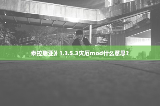泰拉瑞亚》1.3.5.3灾厄mod什么意思？