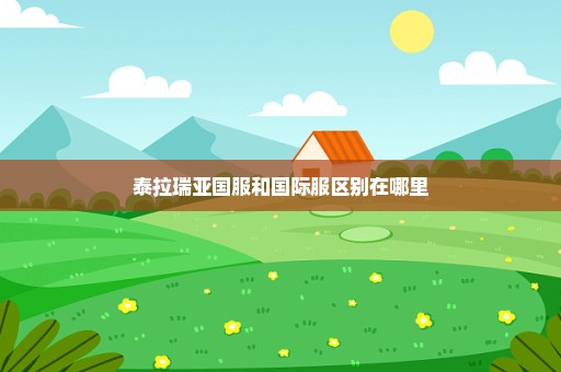 泰拉瑞亚国服和国际服区别在哪里