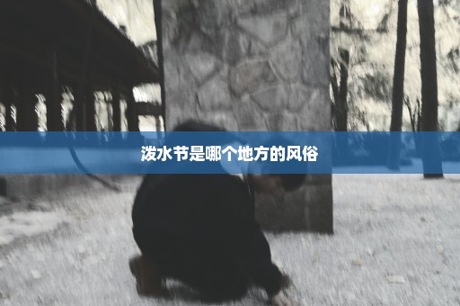 泼水节是哪个地方的风俗