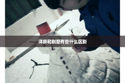 洋房和别墅有些什么区别