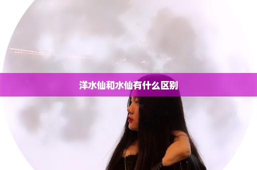 洋水仙和水仙有什么区别