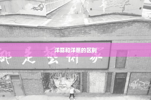 洋蒜和洋葱的区别