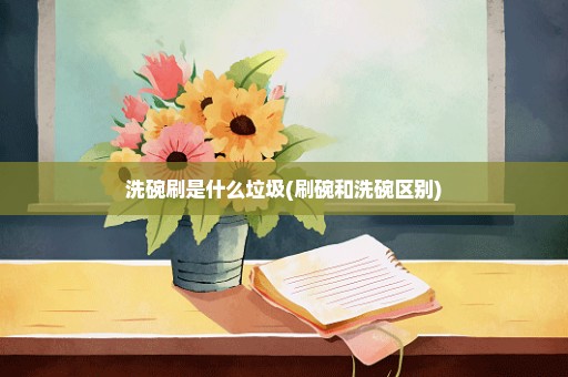 洗碗刷是什么垃圾(刷碗和洗碗区别)